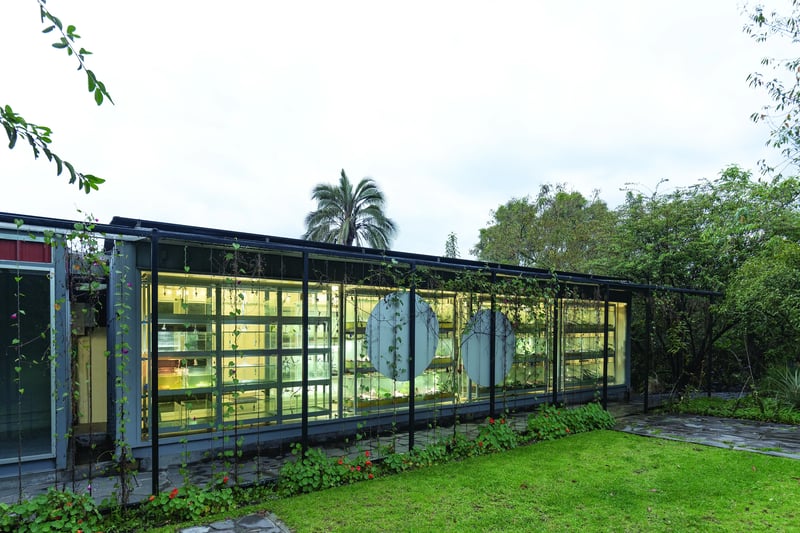 Caá Porá Arquitectura
