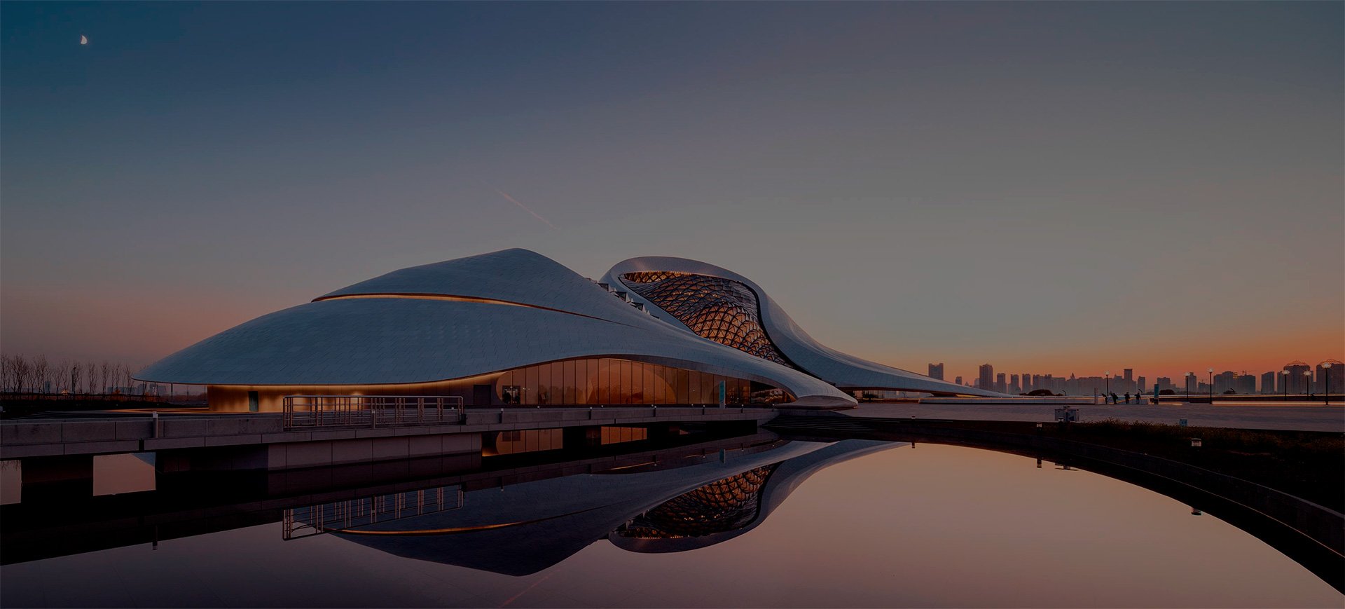 Mad Architects